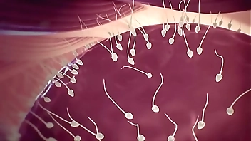 It's easy and quickly make a b.