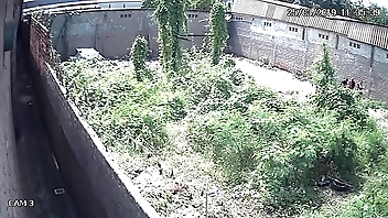 FRITANDO AOS 40 GRAUS PVH