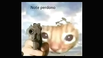 No te perdono