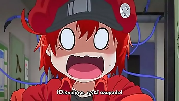 Hataraku Saibou capítulo 1 sub español