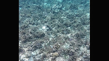 Beauty speech and showing off huge dead dick style dildo